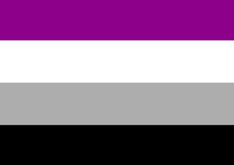 Bandera asexualidad