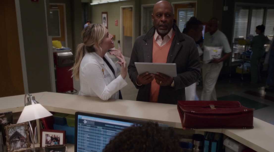 ARizona nefasta con callie