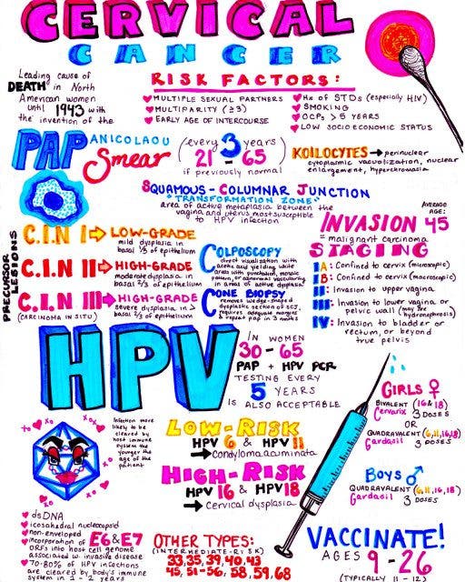 hpv cervicalcancer