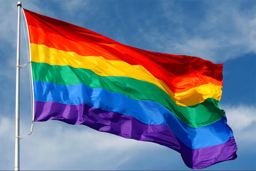 lgbtqi flag