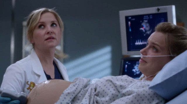 Arizona atendiendo a mini Izzie