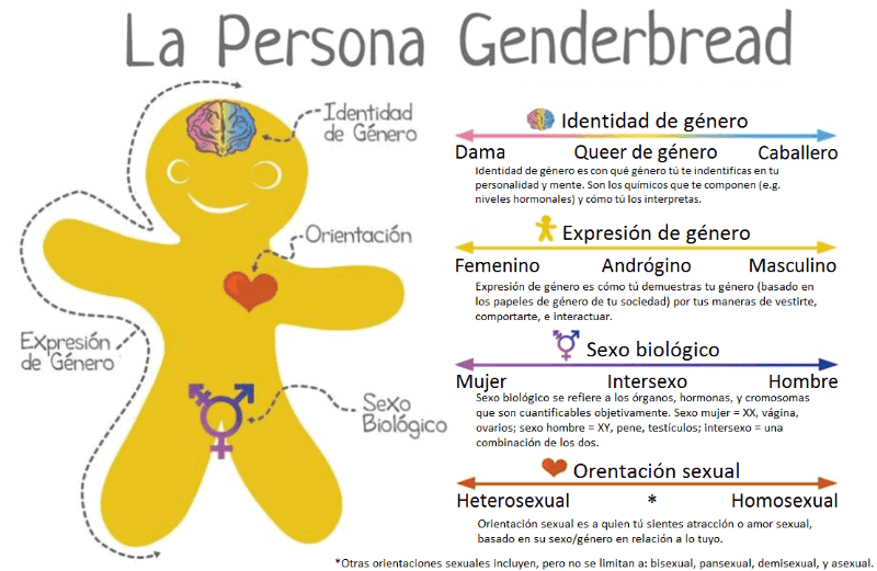 genderbread