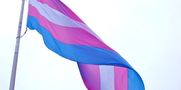 trans flag